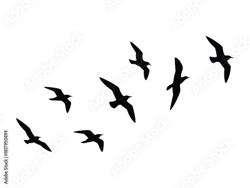 Flock of Flying Birds Silhouette - Freedom, Nature & Migration