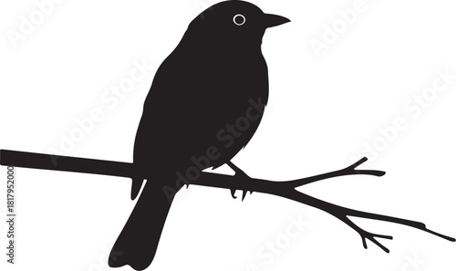 Bird silhouette perched on a branch simple vector design