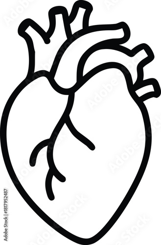 a vector illustration of a human heart. an outline or line art vector