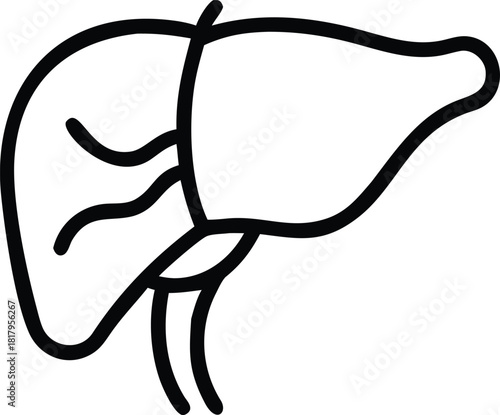  An icon representing the human liver