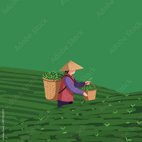 Meet the Farmer Behind Your Morning Cuppa A Day in the Tea Fields