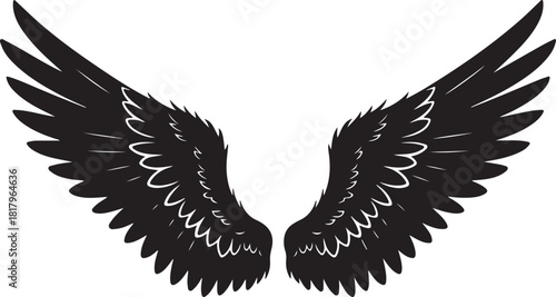 Black stylized bird wings spread open with white feather details angel wings black wings