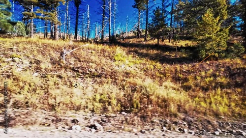 A daytime scenic drive with breathtaking mountain views abound and access to the White Mountain Wilderness can be found at the site via the Crest Trailhead in the Lincoln National Forest