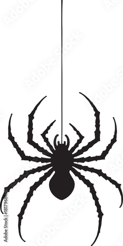 Black spider hanging from a thin thread arachnid insect