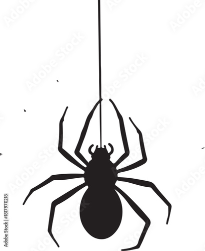 Black spider hanging from thin thread arachnid insect
