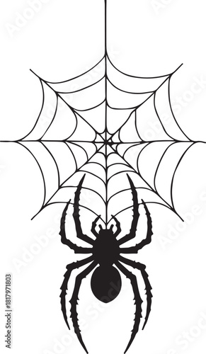 Black spider hanging on a web arachnid insect