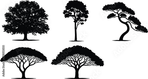 Set of isolated tree silhouettes, including leafy deciduous, tall coniferous, umbrella acacia, and stylized bonsai shapes; black vector graphics for nature and landscape design