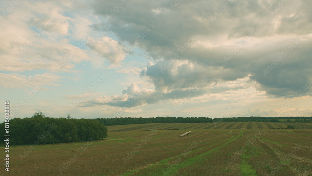 Obraz premium A Beautiful and Scenic Agricultural Landscape Featuring Expansive Fields and Dramatic Clouds