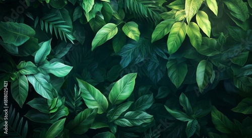 Various Types of Green Leaves in a Lush Arrangement With Varying Shades of Fo...