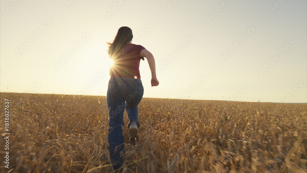 Fototapeta premium Enjoying the freedom of running freely in a vast golden field bathed in sunset light