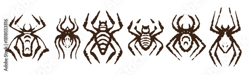 Set of Spider vector illustration