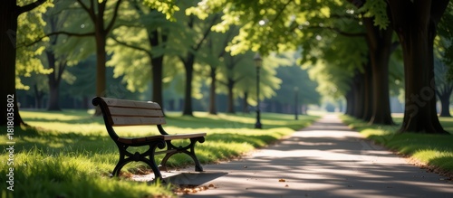 Fototapeta Naklejka Na Ścianę i Meble -  Serene park scene with a bench under leafy trees.