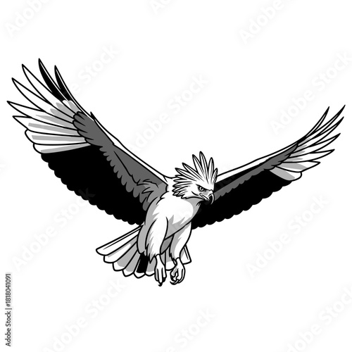 black and white eagle soaring clip art preview