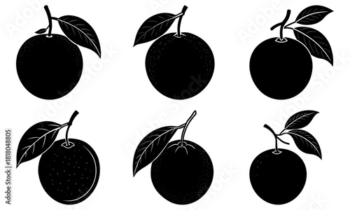 Elegant black and white orange collection with leaves, perfect for healthy food designs and vibrant citrus themes, originally a scalable graphic