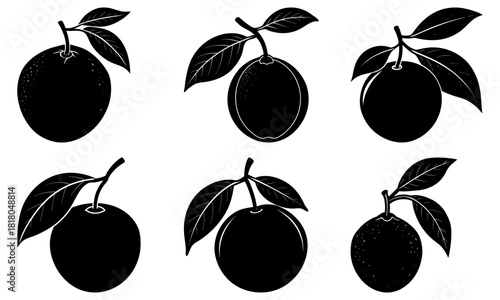 Delicious, fresh oranges with leaves, perfect for juice, recipes, or a healthy snack, designed with a classic, elegant, and professional feel