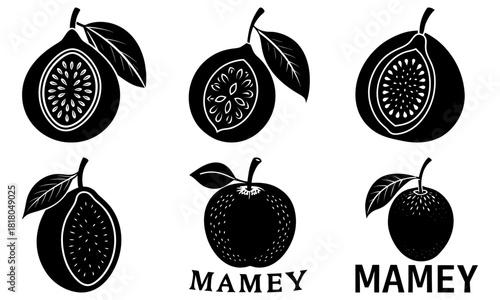 Mamey fruit collection, ideal for healthy eating promotions, culinary design, and tropical food branding, a vibrant addition to any food-related project