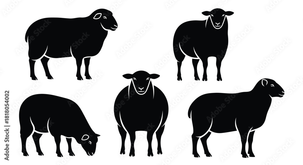 Obraz premium Black sheep silhouette vector illustration farm animal design