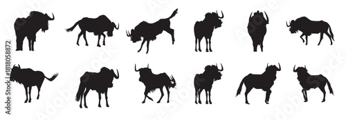 tailed gnu silhouette