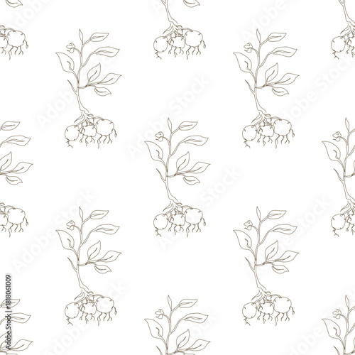 Outline potato plant seamless pattern. Farming and gardening background design for wallpaper, fabric, textile, print, wrapping paper or package design.