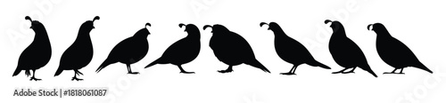 standing quail silhouette vector