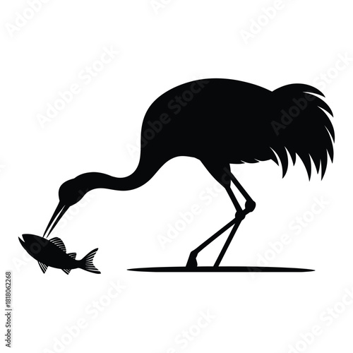 Crane bending neck to catch fish Vector, Silhouette, Illustration