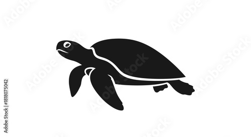 Sea turtle silhouette with transparent background