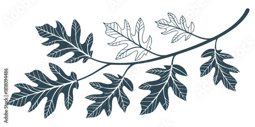 Delicate branch with intricately drawn oak leaves in a muted blue tone