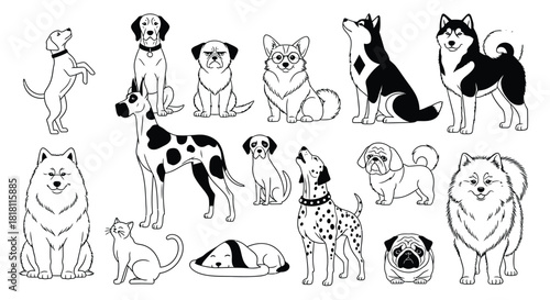 Dog breeds illustration collection cute dogs vector art design set