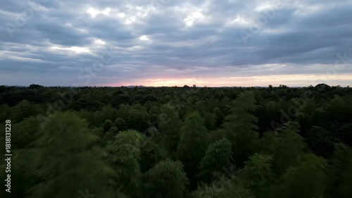 Majestic golden sunset glows over the dense forest and rugged mountain peaks