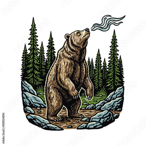 Grizzly bear sniffing the air on a rocky forest trail, pine backdrop, vintage woodcut wildlife vector illustration on white