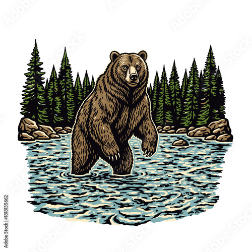 Wild grizzly wading in cold river, conifer forest backdrop and surface ripples, hand-drawn woodcut wildlife vector.