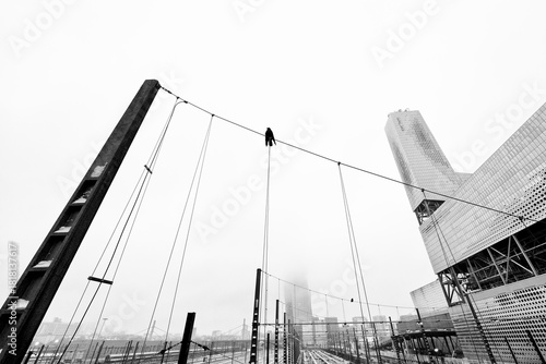 Photos Lonely craw and incinerator chimney in Paris suburb