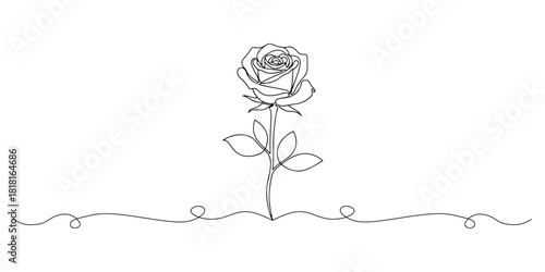 Continuous one line of blooming rose representing strength, cancer theme, hand drawn vector illustration.