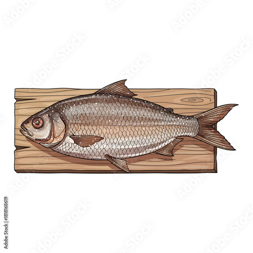Two dried or salted fish resting on rustic wooden planks illustration