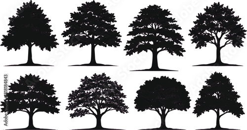 features a collection of eight trees, presented in a visually striking and organized manner. Arrangement: The trees are symmetrically arranged in two rows of four,