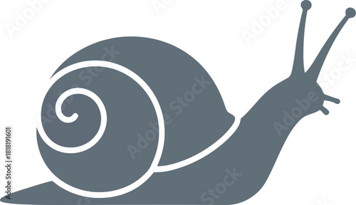 Stylized snail silhouette graphic simple icon insect creature nature garden mollusk slow movement vector