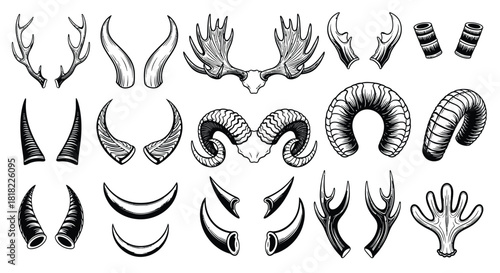 Antler horn vector set collection drawing sketch illustration