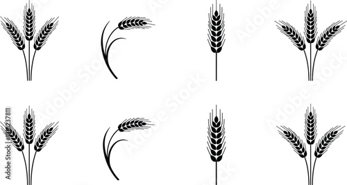 Set of black silhouette wheat ears and sheaves representing farming, agriculture, harvest, bakery, flour, grain, and cereal crops.