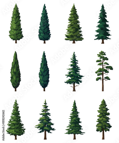 Tree Vector Collection: High-Quality Nature Illustrations, Tall Tree Vector Bundle