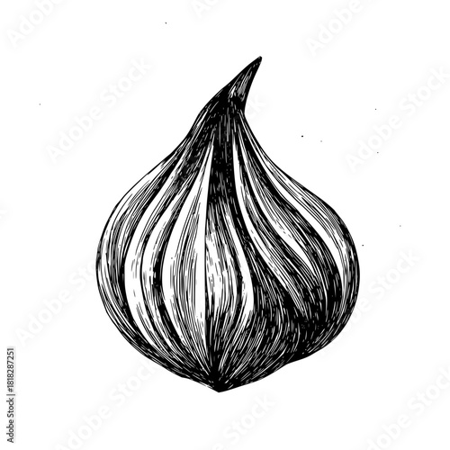 Wood grain texture background vector illustration for graphic design and web design resources material