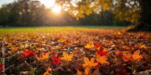 Wallpaper Mural Red dog with a humorous muzzle, emphasizing playful behavior, gray background Torontodigital.ca