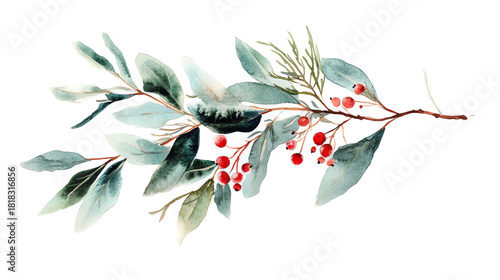 Watercolor evergreen sprig with delicate winter berries cool tones and soft texture floating on clean white backdrop for natural seasonal accent
