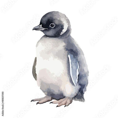 Watercolor style illustration of a cute fluffy gray and white penguin chick