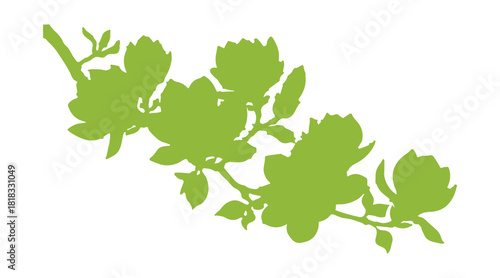 A vibrant, hand-illustrated vector depiction of a magnolia branch in bloom

