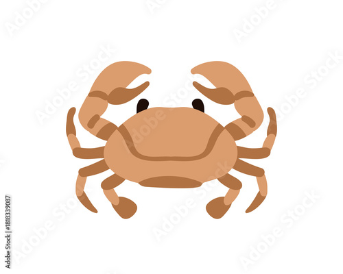 Crab with claws, top view. Marine crustacean, exotic sea food delicacy. Tropi...