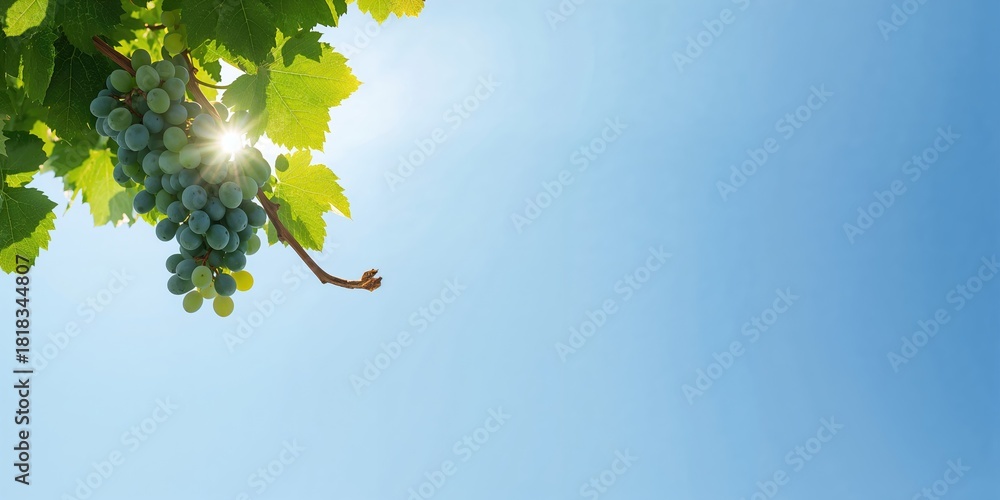 Naklejka premium Fabric texture with delicate striped pattern used as a background for layout design, emphasizing visual clarity and organization