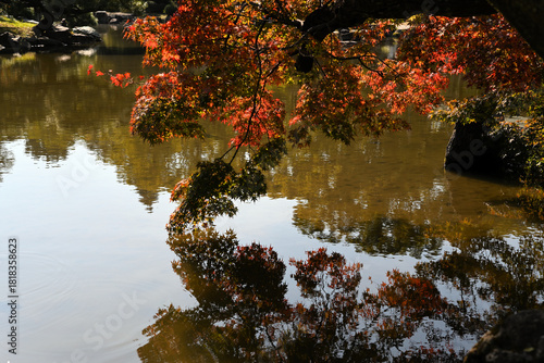 水面に映る紅葉