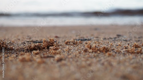 Soft sand stretches along the lakeshore of Onega in Karelia. Gentle waves lap at the beach, creating a serene atmosphere perfect for relaxation and reflection in nature. Summer beach