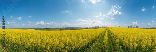 Man consuming sushi with ch...
