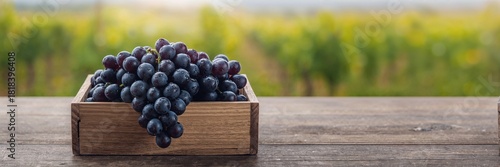 Ripe black grapes stored in...
